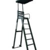 Deluxe Umpire Chair with Canopy